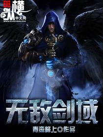无敌剑域境界