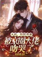 入夜，娇软乖乖被京圈大佬吻哭了 
